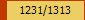 1231/1313